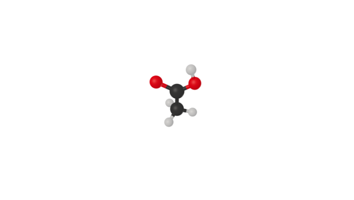 乙酸分子模型