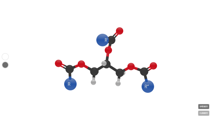 甘油三酯分子模型