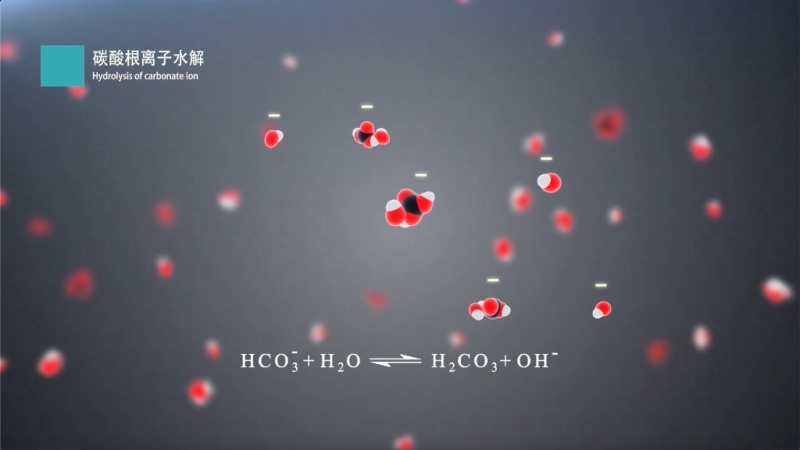 碳酸根离子的水解