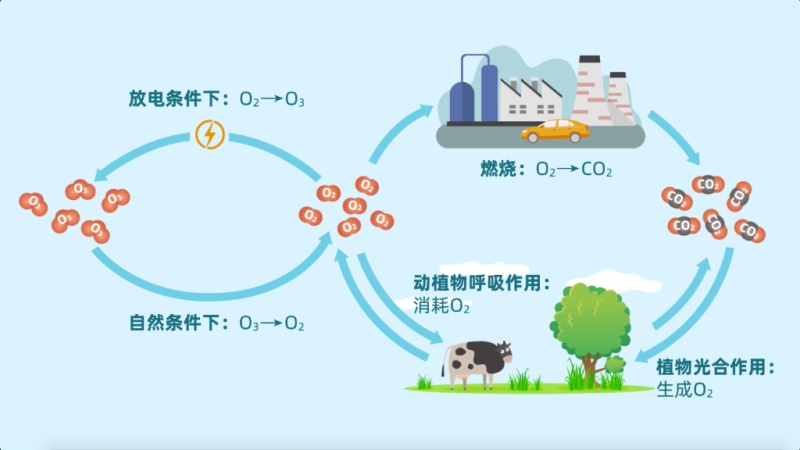 自然界中的氧循环