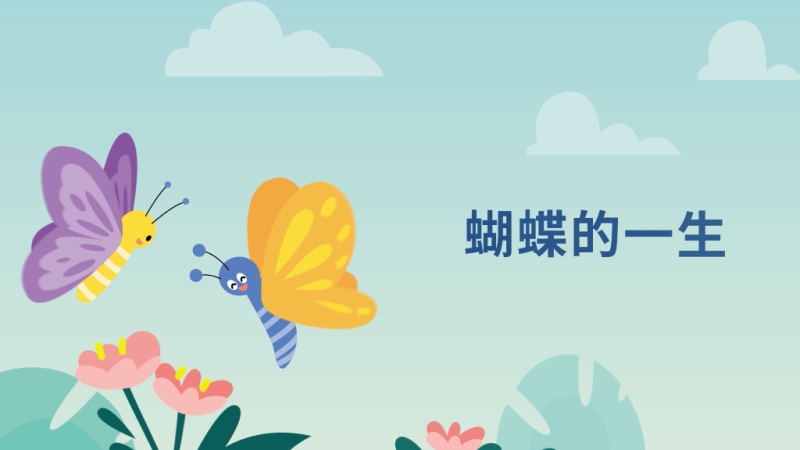 蝴蝶的一生