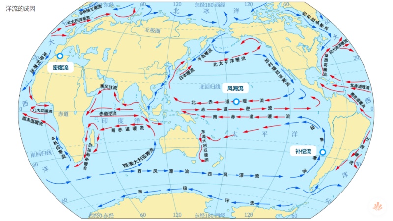 点赞               以世界表层洋流分布图为识图基础,将北赤道暖流