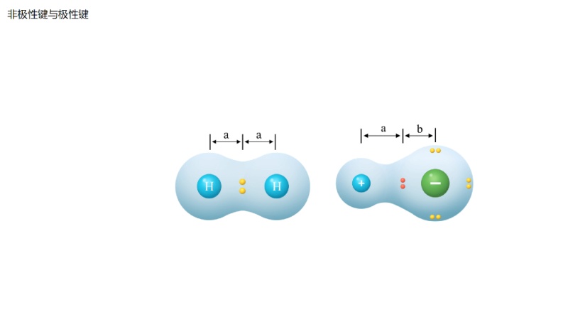 非极性键与极性键