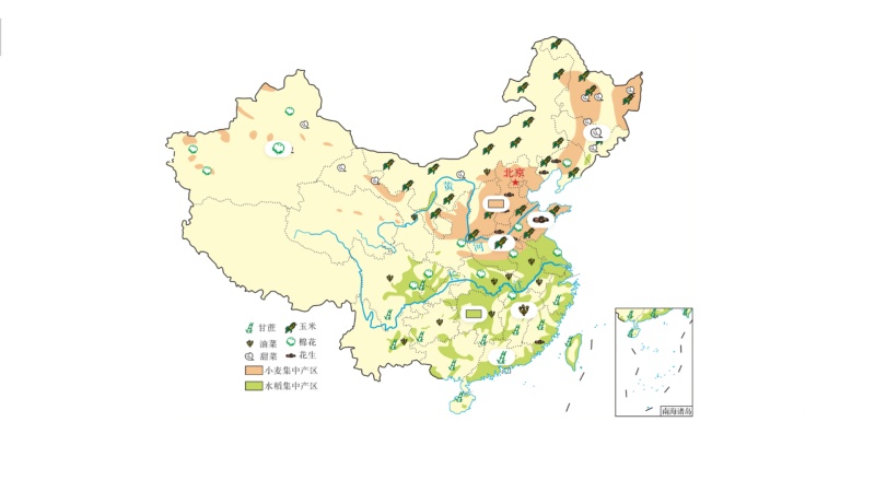中国的主要农作物分布