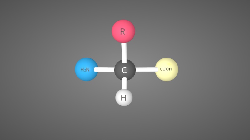 展示氨基酸的结构通式,每种氨基酸分子至少都含有一个羧基—cooh)