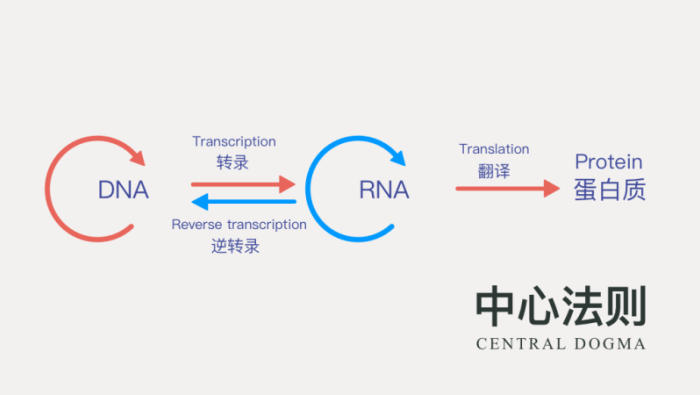 查看源图像