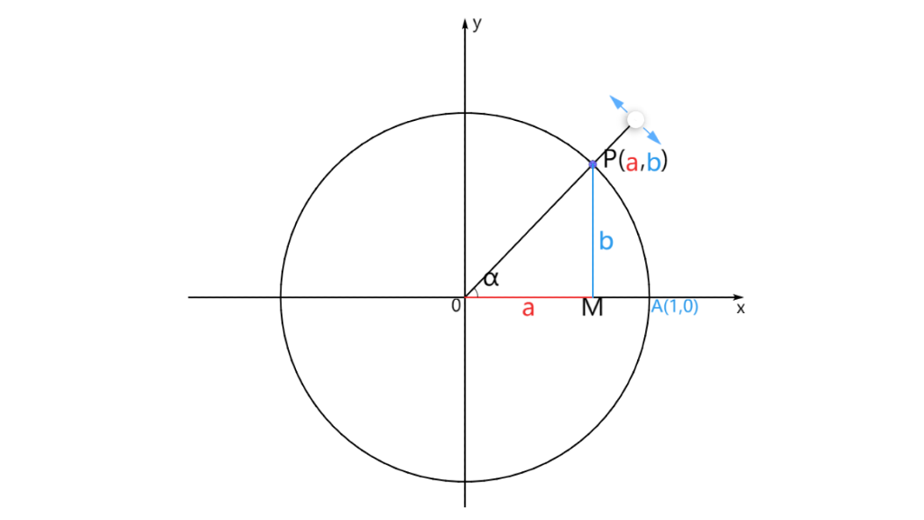 单位圆中锐角的三角函数