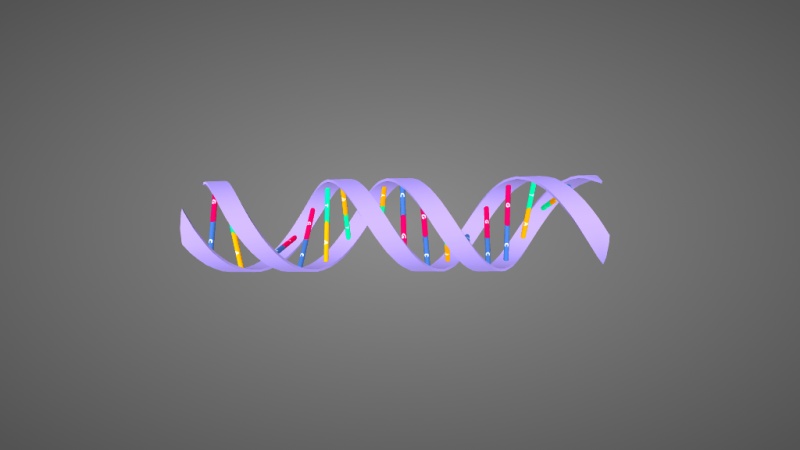 dna-Դ